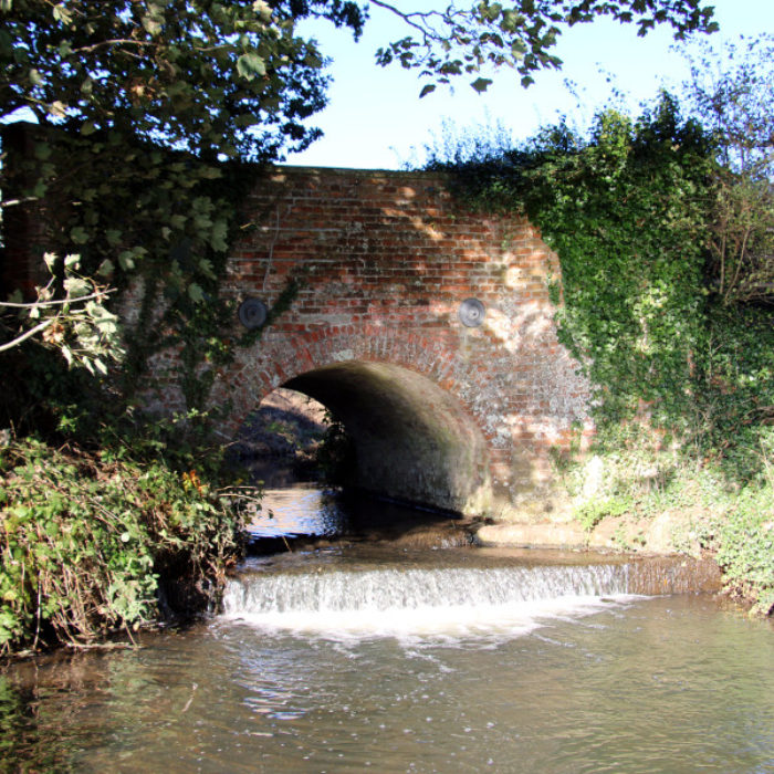King’s Beck Backstory