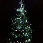 Christmas tree lights