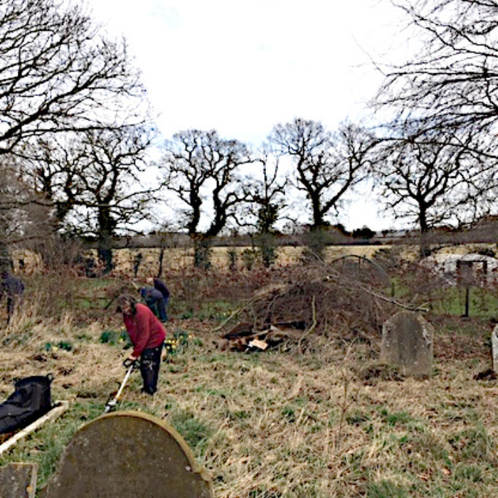 New life in the churchyard