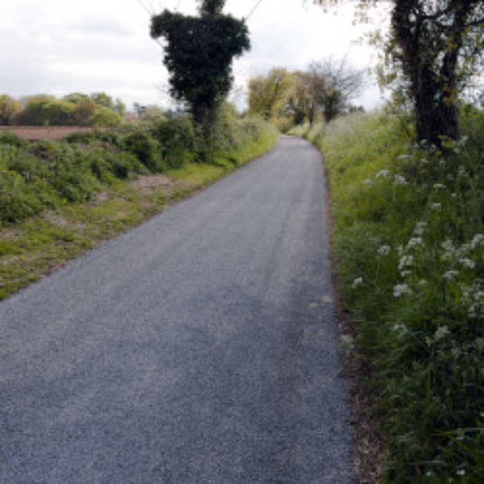 Uncommon sight on Common Lane