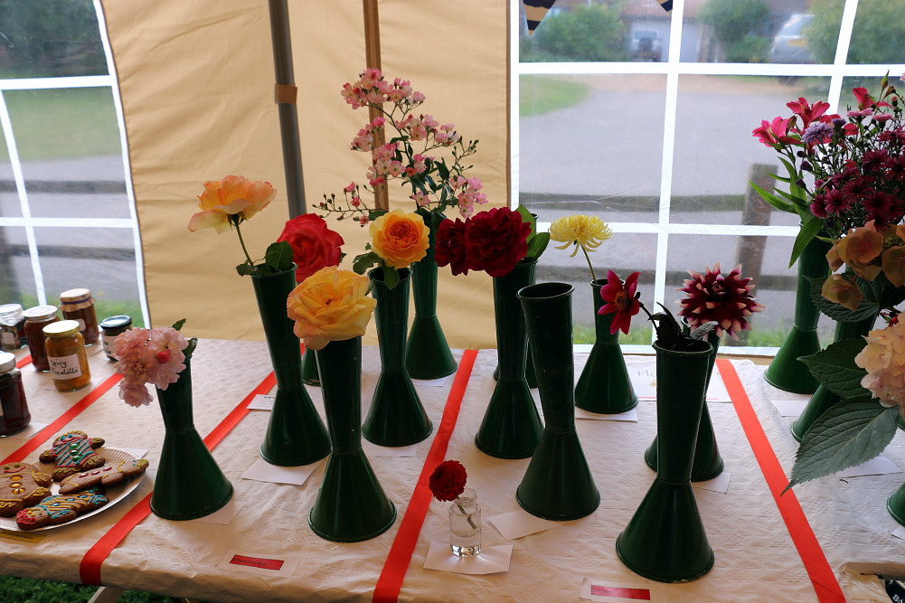 and roses