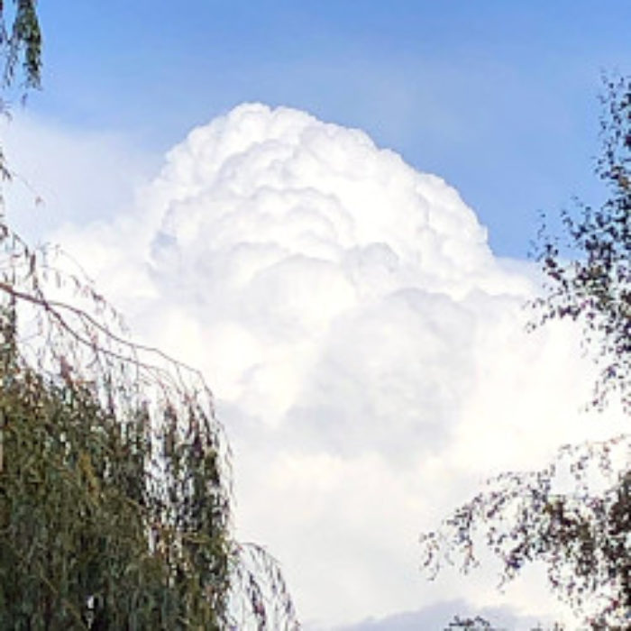 Mountains discovered near Tuttington