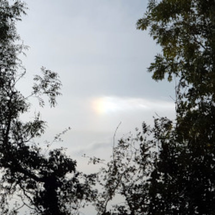 Apocalyptic comet above Tuttington? No, it’s a dog