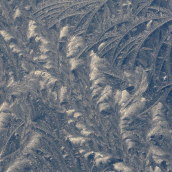 Jack Frost comes to Tuttington