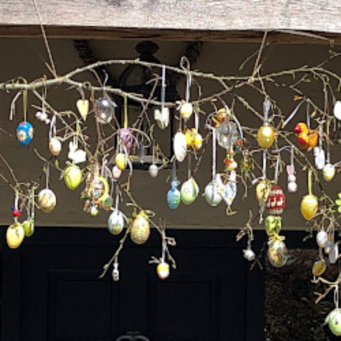 Eggs galore!