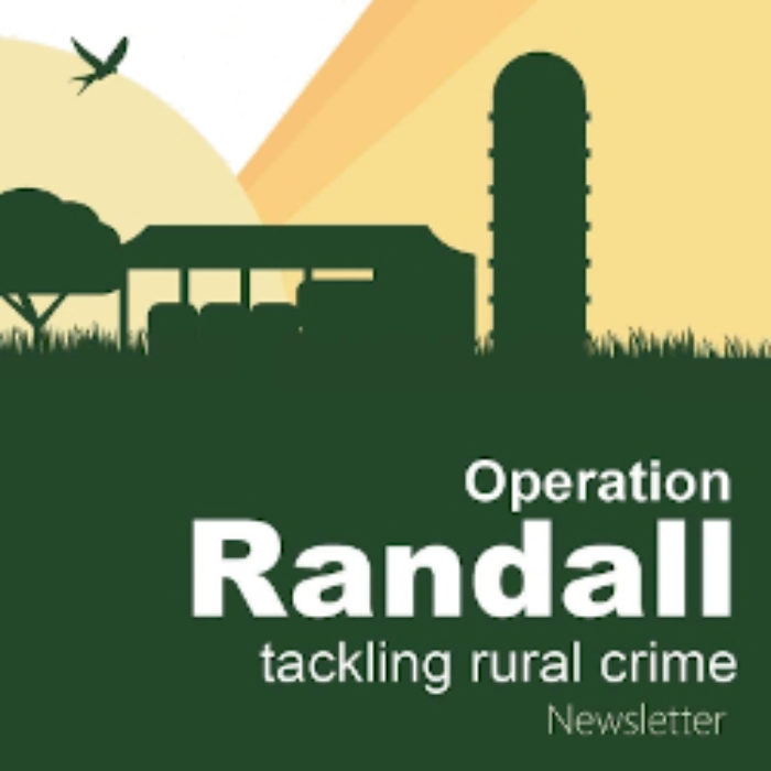 Randall not Hopkirk