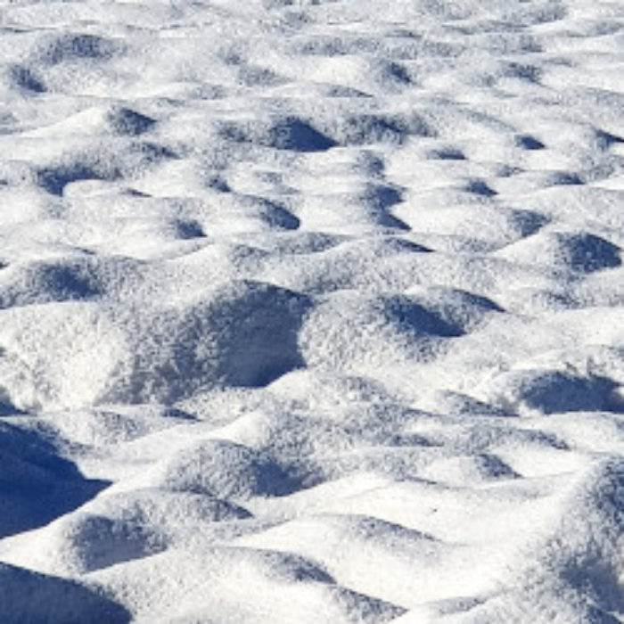 Snow going…