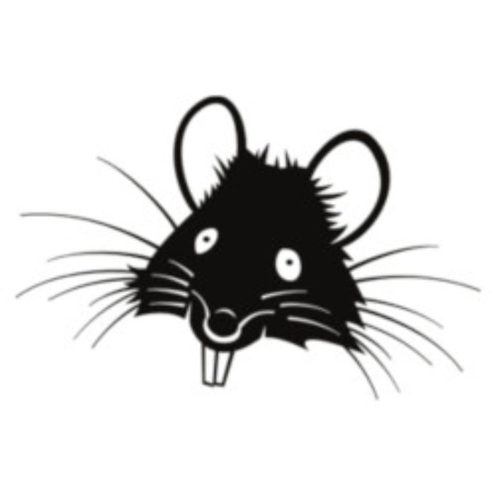 Rats are such nice cuddly creatures…