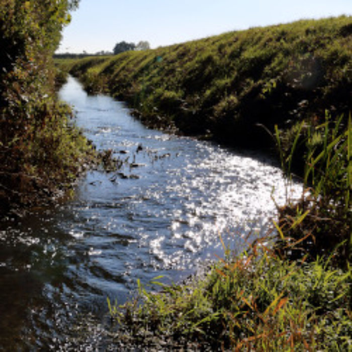 King’s Beck Benefice Newsletter