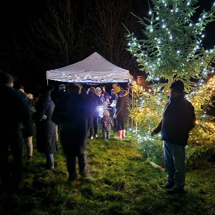 Carols on the Green